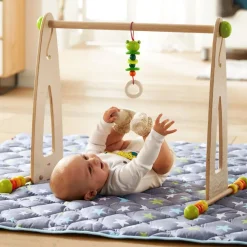 HABA Color Fun Play Gym Activity Center< Play Gyms, Play Mats + Accessories