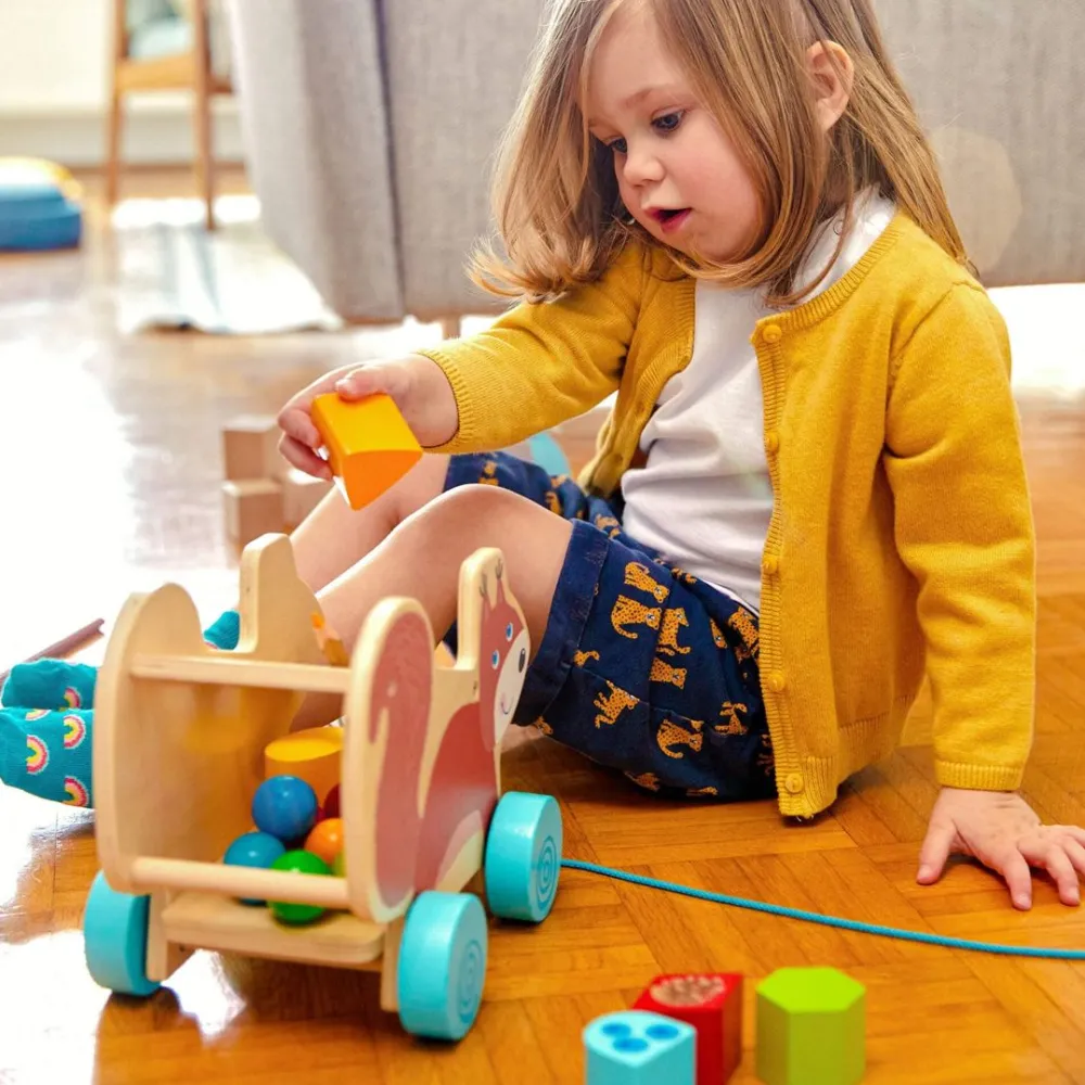 HABA Squirrel Pull Along Toy Sorting Box< Shape Sorters + Stacking Toys