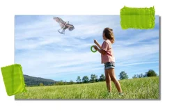 HABA Terra Kids Bald Eagle Kite< Beach & Outdoor Toys