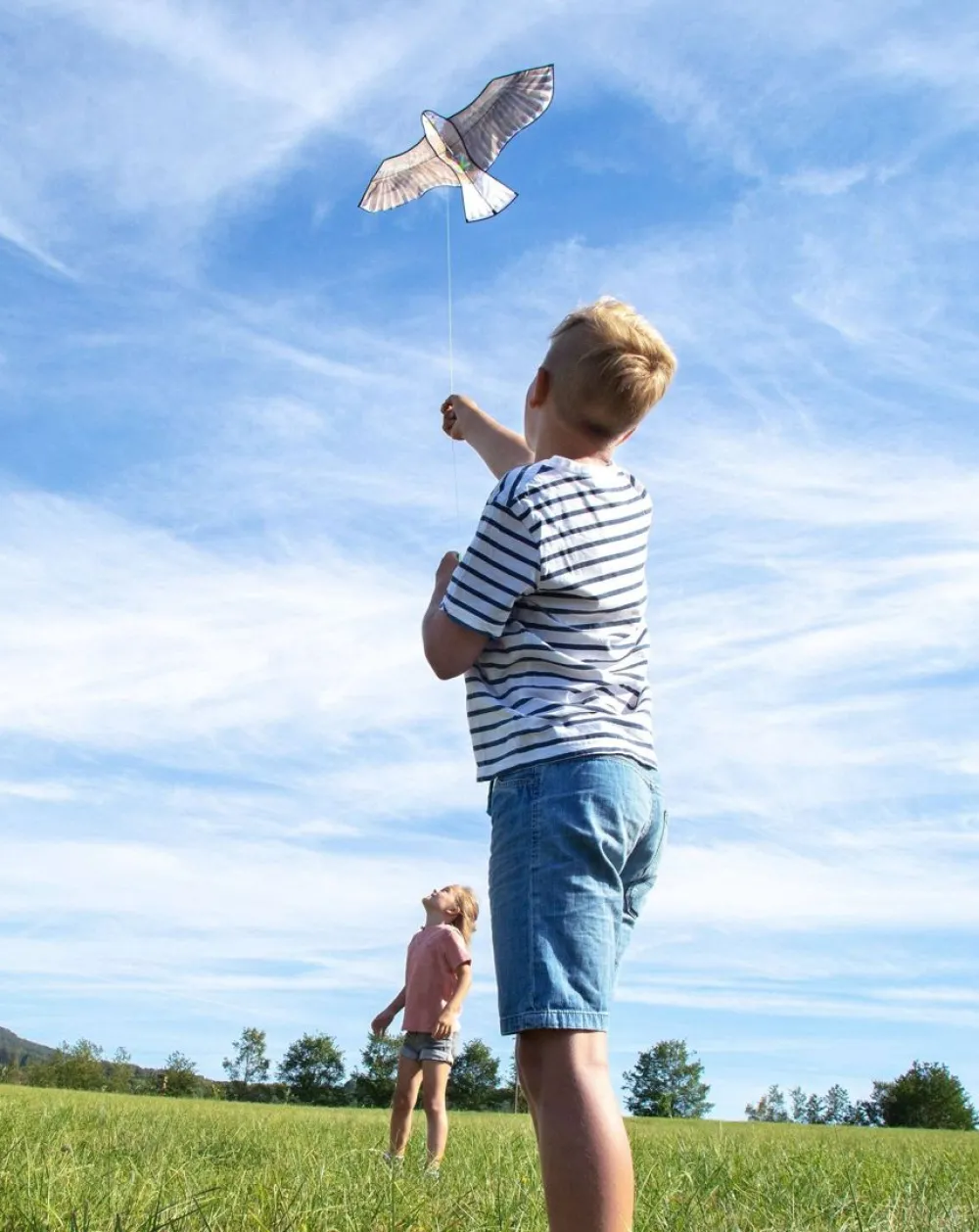 HABA Terra Kids Bald Eagle Kite< Terra Kids Nature Toys