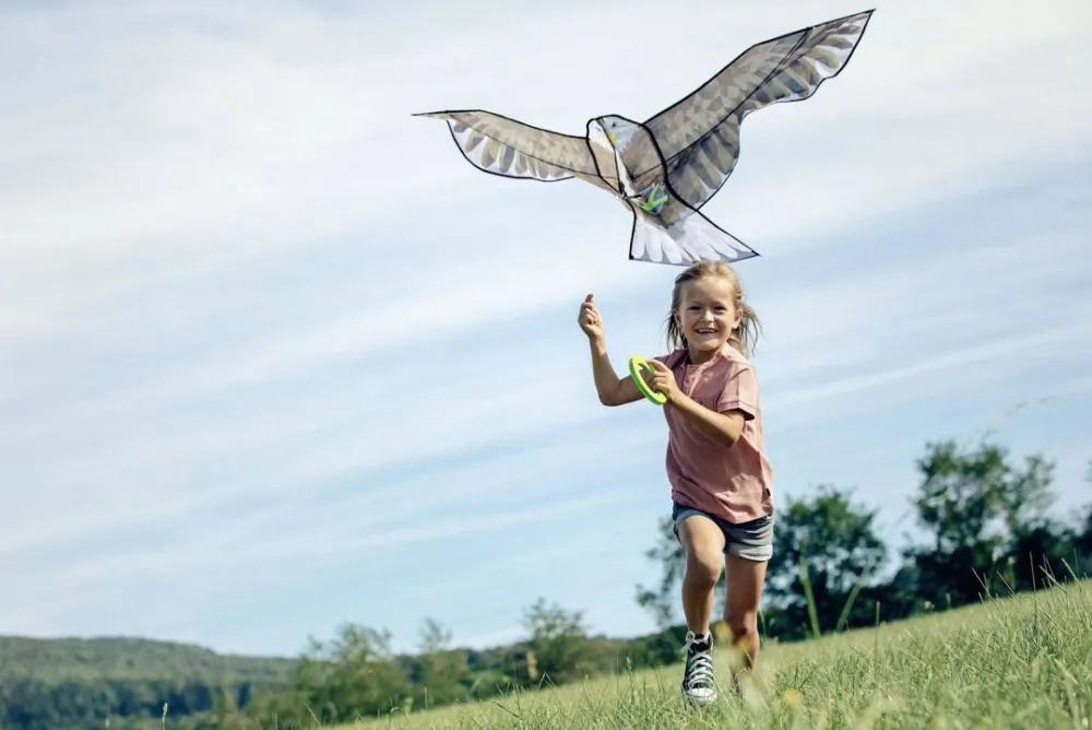HABA Terra Kids Bald Eagle Kite< Terra Kids Nature Toys