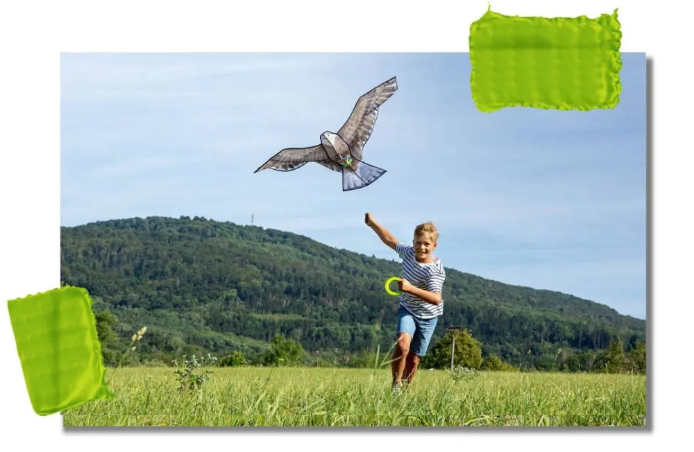 HABA Terra Kids Bald Eagle Kite< Terra Kids Nature Toys