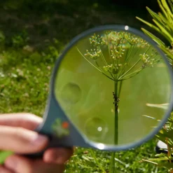 HABA Terra Kids Magnifier< Terra Kids Nature Toys