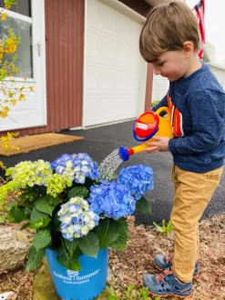 HABA Watering Can (1 Liter)< Spielstabil Outdoor Toys